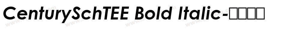 CenturySchTEE Bold Italic字体转换